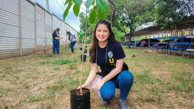 Photo of Estudiantes UNIVO reforestaron con 100 árboles de maquilishuat