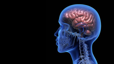 Photo of ¿Sabe que anualmente se celebra la Semana Mundial del Cerebro?