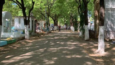 Photo of Cementerio General de San Miguel listo para recibir visitantes
