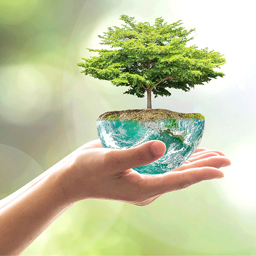 Sostenibilidad Ambiental, una idea significativa en el mundo actual. -  UNIVONews