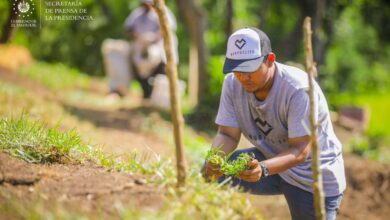 Photo of Inversiones turísticas impulsan calidad de vida en comunidades salvadoreñas