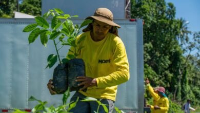 Photo of Expansión del programa MOP Verde trae reforestación masiva al Oriente de El Salvador
