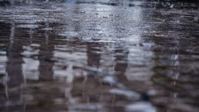 Photo of Medio Ambiente prevé lluvias intermitentes durante toda la semana