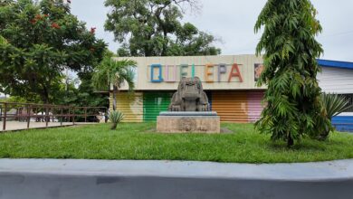 Photo of Quelepa se prepara para celebrar el 12º Festival del Maíz