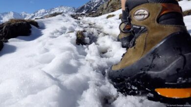 Photo of Ecosistema prehistórico emerge en los Alpes