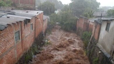 Photo of Ríos presentan niveles elevados por tormenta tropical Sara