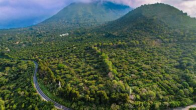 Photo of El Salvador se posiciona como el segundo país con mejor rendimiento turístico