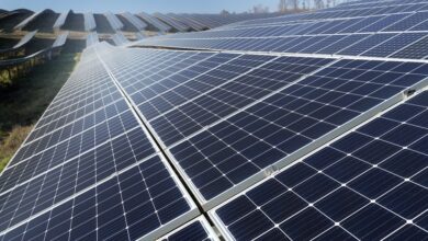 Photo of El auge de la energía solar en el mundo