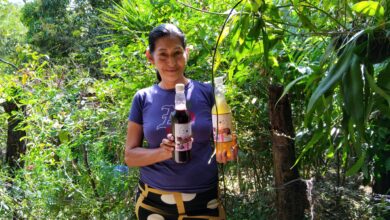 Photo of “Vino atrapando sueños”: Un emprendimiento que transforma vidas en San Antonio del Mosco