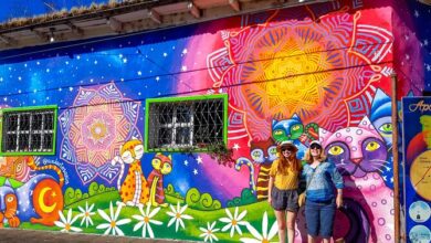 Photo of Instituto Salvadoreño de Turismo invita a vivir la experiencia de los Buses Alegres