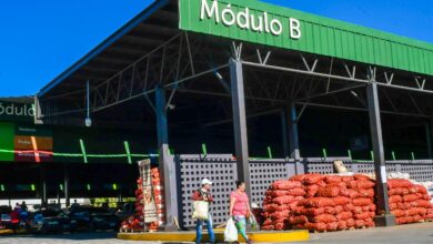 Photo of Central de Abastos de Soyapango: Un aliado para la economía de las familias salvadoreñas