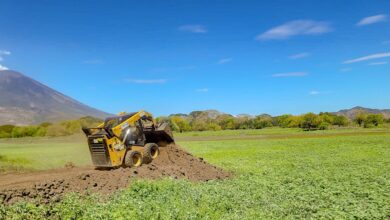Photo of Obras Públicas avanza en la construcción para acceso a los diques de la laguna El Jocotal, San Miguel Oeste