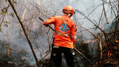 Photo of Controlan incendio en La Libertad gracias a la intervención conjunta de Bomberos y Protección Civil