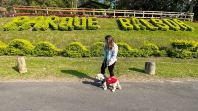 Photo of Parque Natural Balboa: un respiro verde a pocos minutos de la capital
