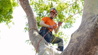 Photo of Continúan acciones de mitigación en El Salvador