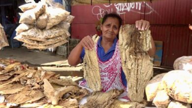 Photo of ¿Cuánto cuesta el pescado seco en Semana Santa?