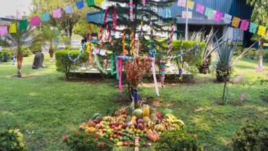 Photo of Día de la Cruz: Una tradición que florece cada 3 de mayo