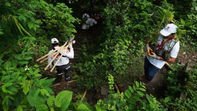 Photo of Comunidad en La Paz fortalece protección ambiental con siembra de más de 3,500 plantas