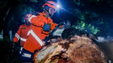 Photo of Equipo Táctico Operativo y Fuerza Armada atienden emergencia por caída de árbol en San Salvador