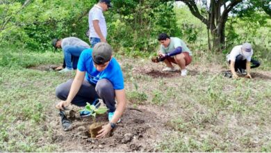 Photo of Lanzan sexta edición del programa Árboles para El Salvador en Los Cóbanos