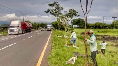 Photo of MOP impulsa reforestación en carretera entre Quezaltepeque y San Juan Opico