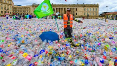 Photo of Recicladores en Colombia denuncian caída del precio del plástico reciclable