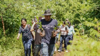 Photo of Reforestan seis distritos de San Miguel como parte del proyecto Reclima