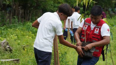 Photo of Cruz Roja Salvadoreña impulsa jornada de reforestación en Ahuachapán Sur