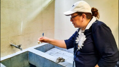 Photo of ¿Cómo prevenir el dengue desde casa?