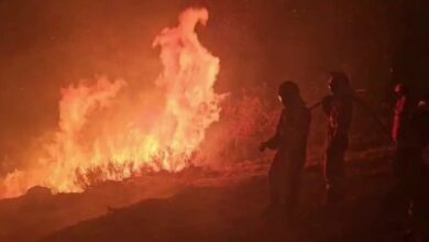 Photo of España enfrenta una de las peores crisis medioambientales por incendios forestales