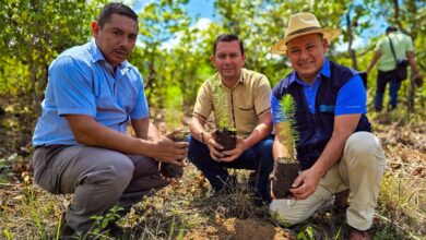 Photo of Gobernaciones de Morazán y San Vicente refuerzan su compromiso ambiental con jornadas de reforestación