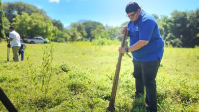 Photo of Reforestan zona rural de San Rafael Oriente para fortalecer la protección ambiental