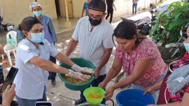 Photo of Capacitación en vino artesanal impulsa el emprendimiento en Lolotique