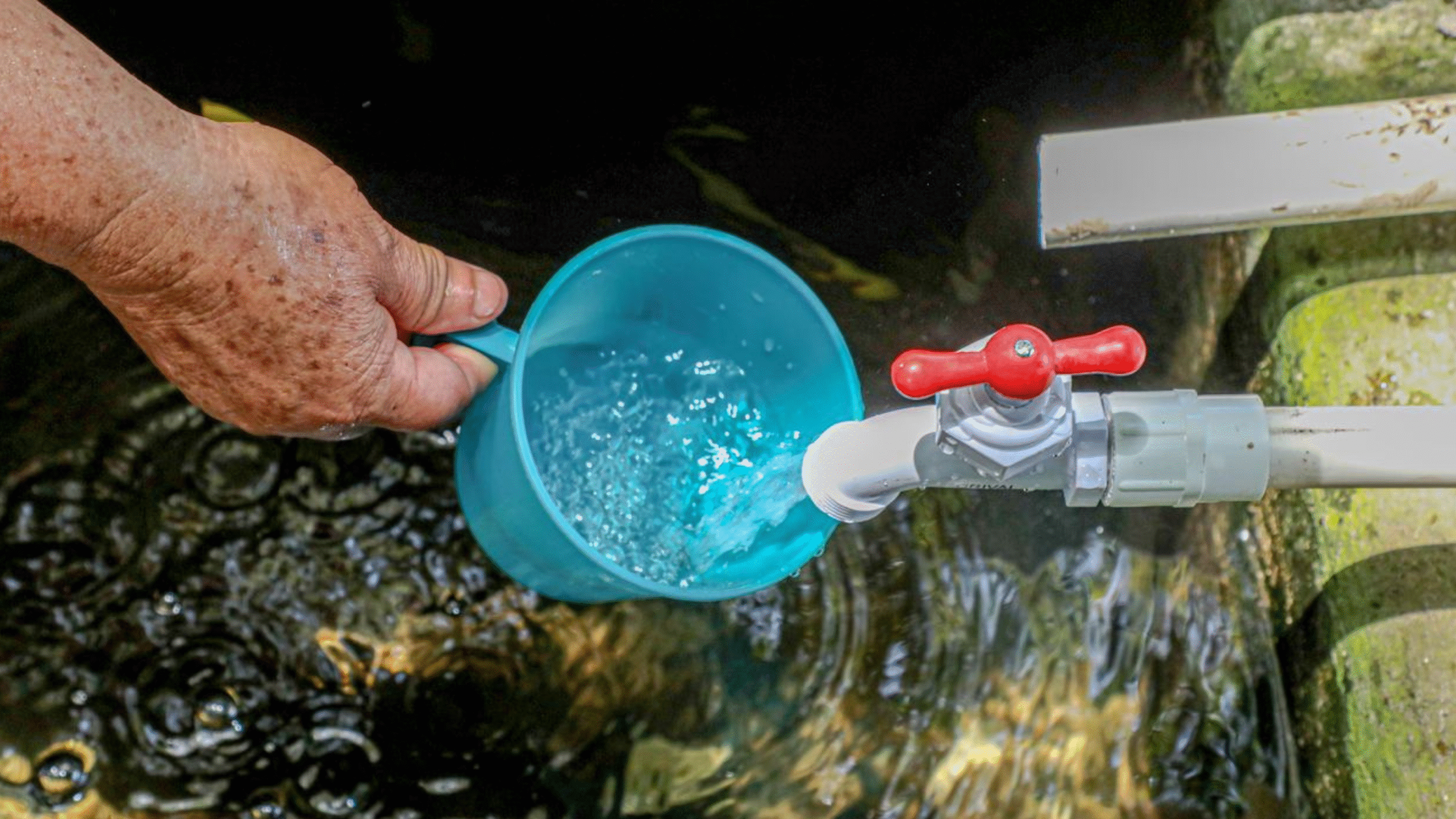 Photo of Semana Mundial del Agua 2025: un llamado urgente a la acción climática