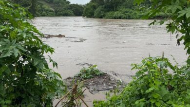 Photo of Protección Civil atiende emergencias por inundaciones en cantón El Papalón