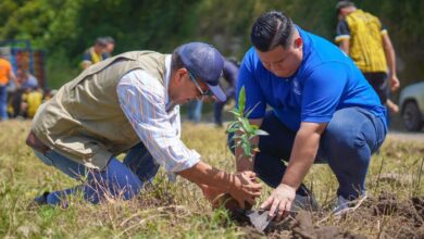 Photo of Actividad de reforestación reúne a instituciones y comunidad en Sesori
