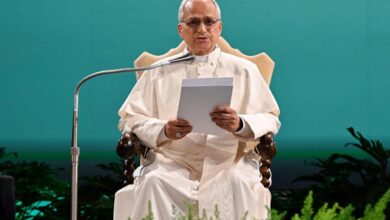 Photo of Papa León XIV destaca avances y desafíos a 10 años de Laudato Si’