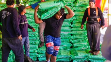 Photo of Apoyo agrícola fortalece la producción en San Miguel