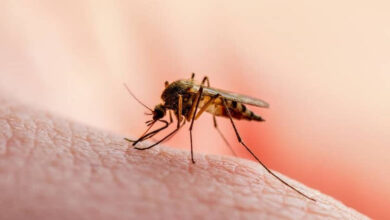 Photo of MINSAL confirma 107 casos de malaria importados tras retorno de salvadoreños del Congo