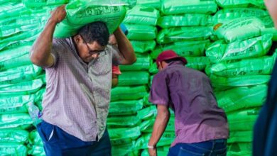 Photo of Entregan fertilizantes a agricultores de San Miguel Centro