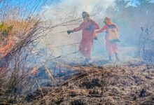 Photo of Bomberos controla incendio en zona de maleza seca en Conchagua, La Unión
