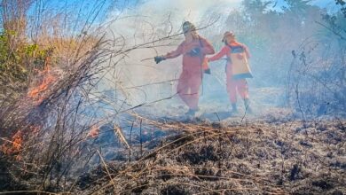 Photo of Bomberos controla incendio en zona de maleza seca en Conchagua, La Unión
