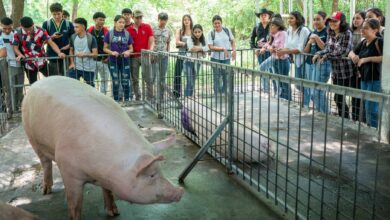 Photo of UNIVO impulsa el desarrollo rural desde la Facultad de Ciencias Agropecuarias