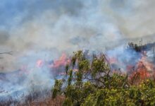 Photo of Coordinan acciones para contener incendio en el volcán Chaparrastique