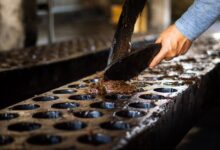 Photo of San Juan Nonualco celebrará el cuarto Festival de la Molienda este 1 de marzo