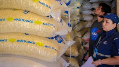 Photo of Refuerzan vigilancia en el mercado del maíz ante posibles prácticas de especulación