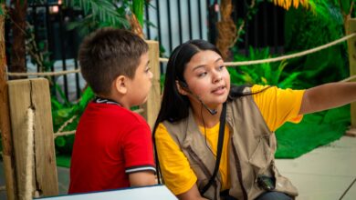 Photo of UNIVO impulsa voluntariado educativo con “Mundo Saurio”