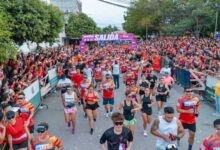 Photo of El camino hacia la resiliencia