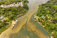 Photo of Intervienen el Lago de Coatepeque por proliferación de cianobacterias