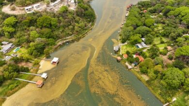 Photo of Intervienen el Lago de Coatepeque por proliferación de cianobacterias